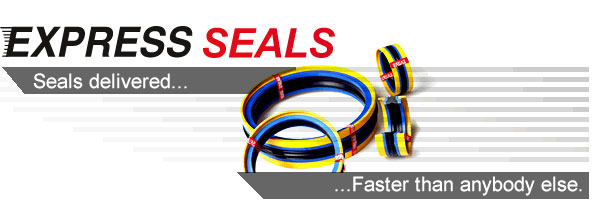 Express-Seals